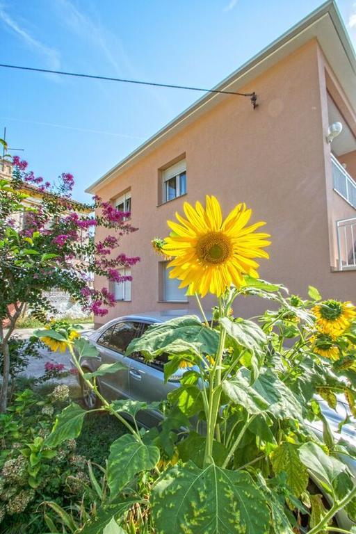 Apartman Nena Crikvenica Kültér fotó